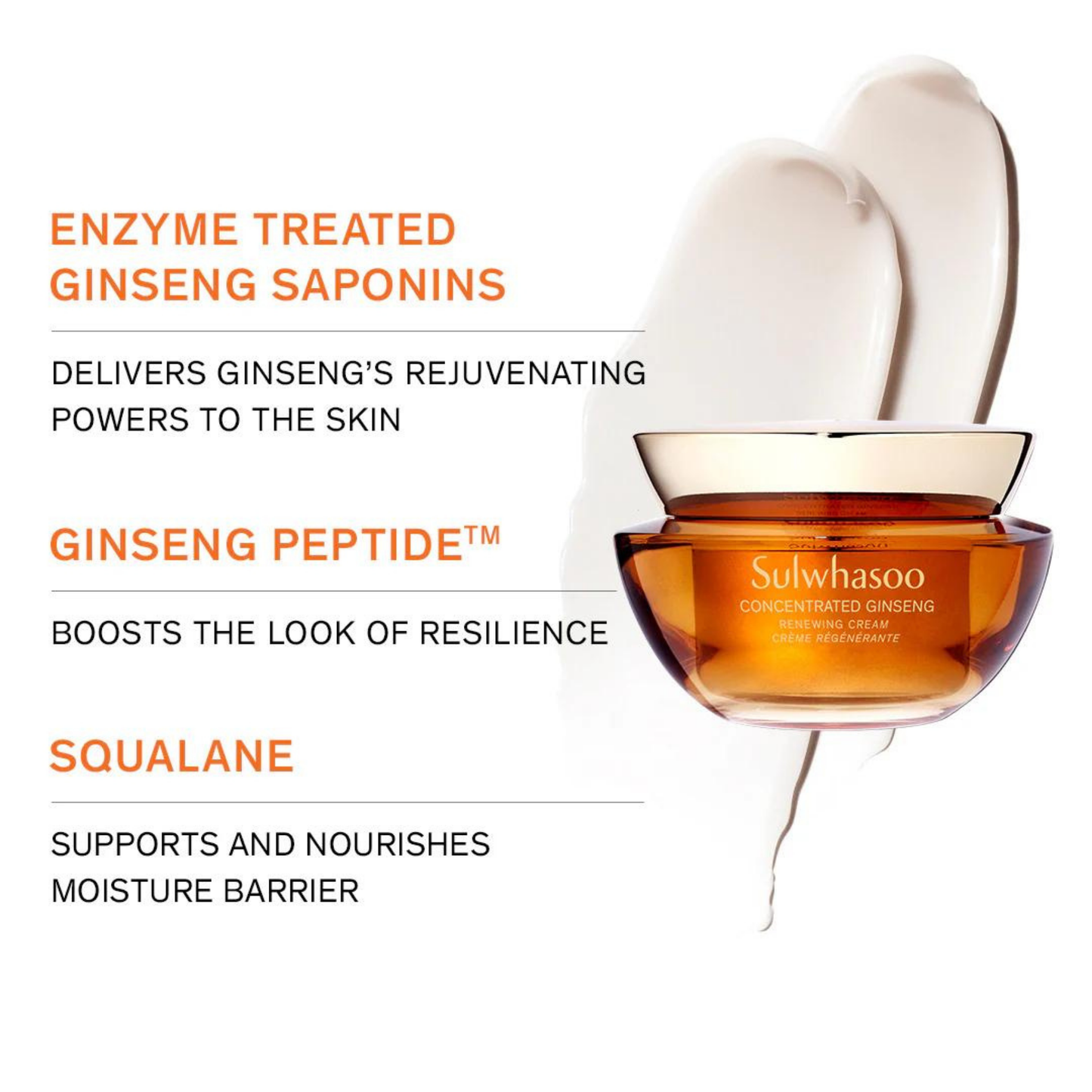 Concentrated Ginseng Renewing Perfecting Cream EX Classic Set 60ml