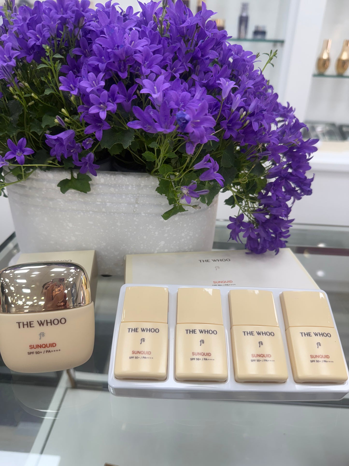 Gongjinhyang Sunquid UV Protective Cream 50ml SPF 50/PA++++ (Special Gift)