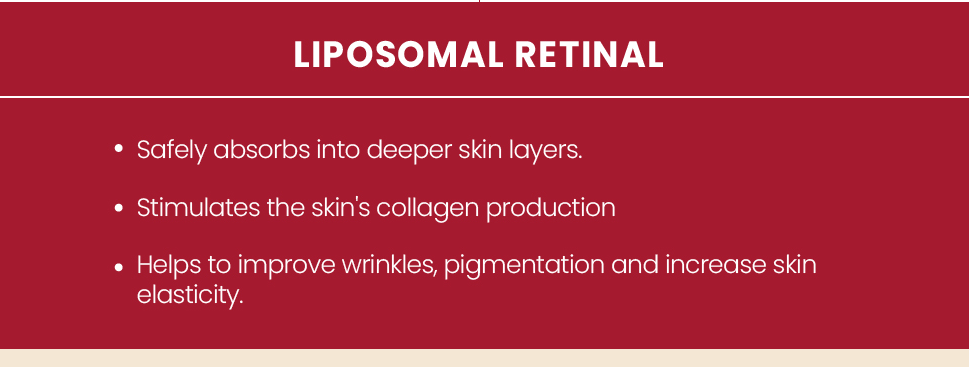 SEOUL 1988 Eye Cream : Retinal Liposome 4% + Fermented Bean