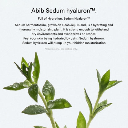 Abib Sedum Hyaluron Pad Hydrating Touch Toner Pad