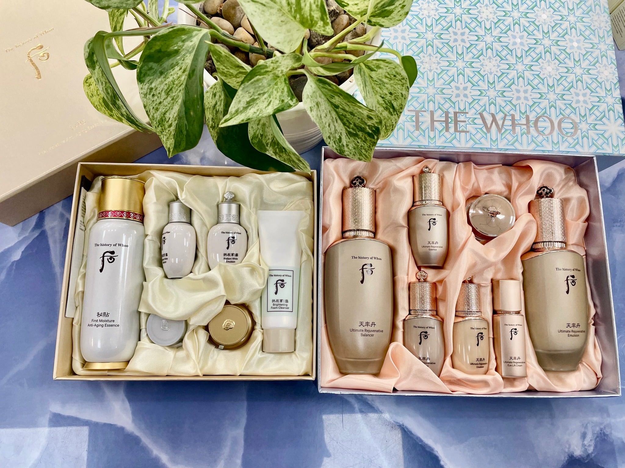 Combo Cheonyuldan 2pcs Set + Bichup First Moisture Essence Set