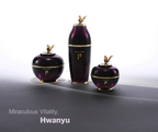 Hwanyu Imperial Youth Master Set : Cream 60ml + Serum 50ml + Eye Cream 25ml