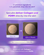 Spicule PDRN Collagen and Retinol Cream Set
