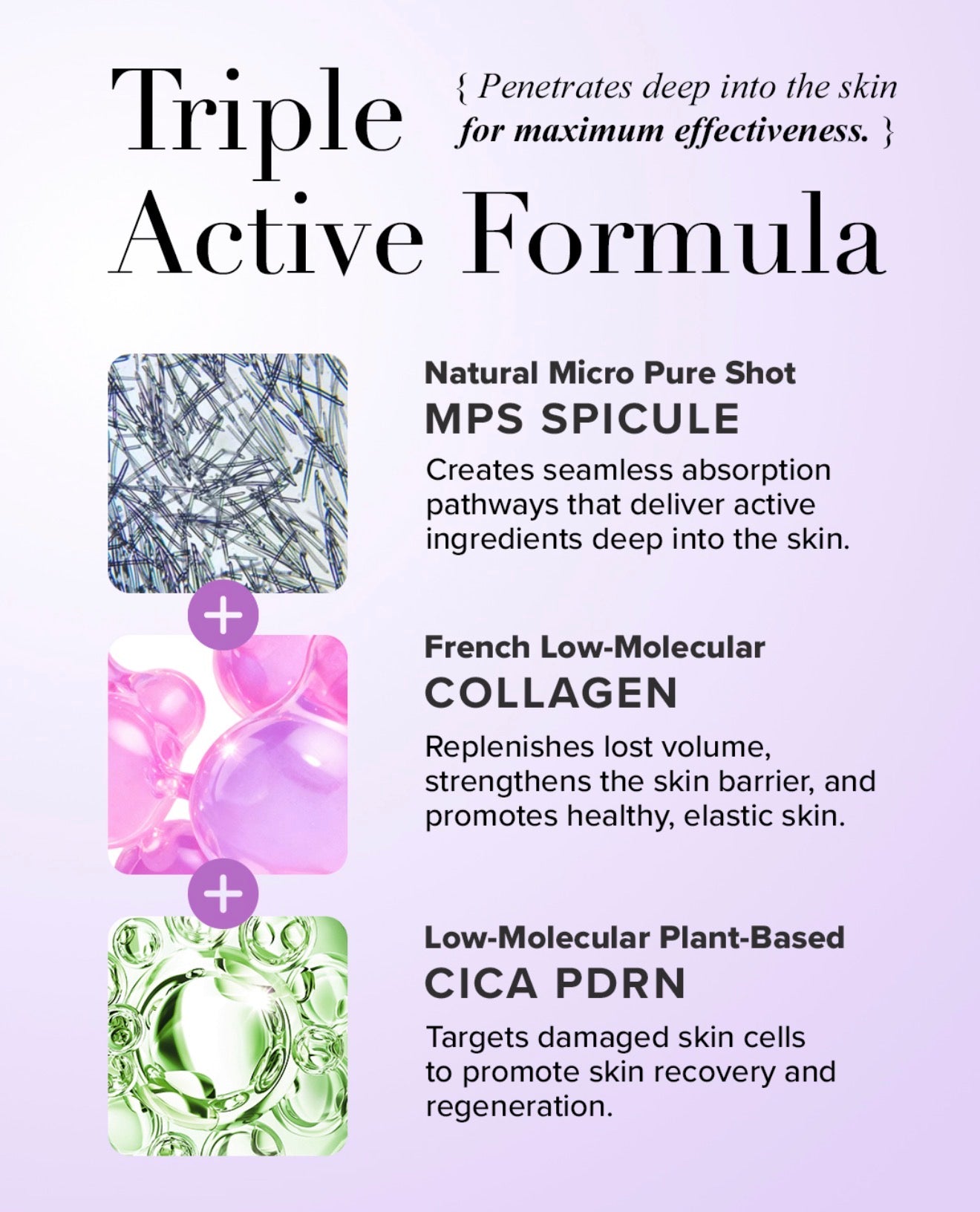 Spicule PDRN Collagen and Retinol Cream Set