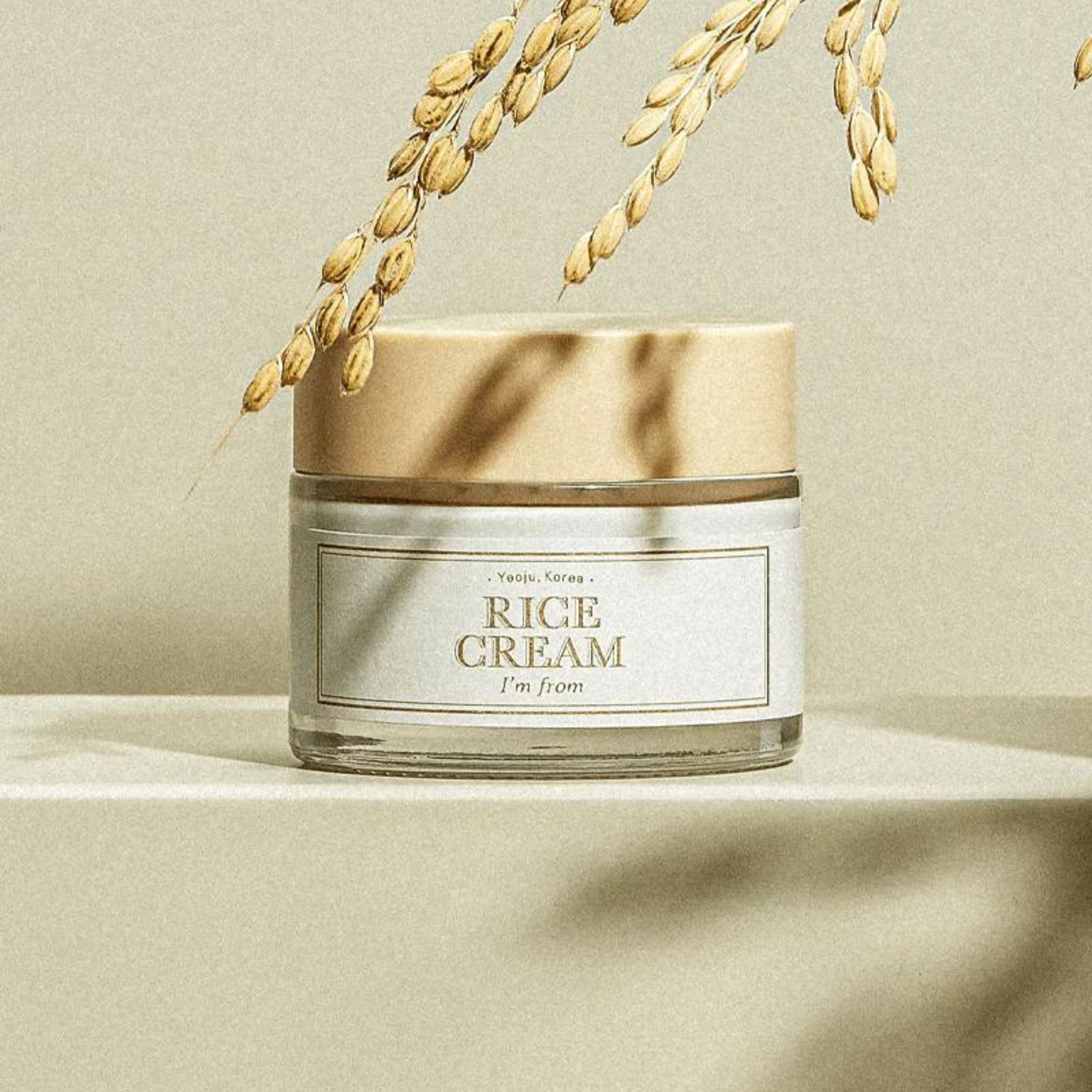 Rice Cream 50g